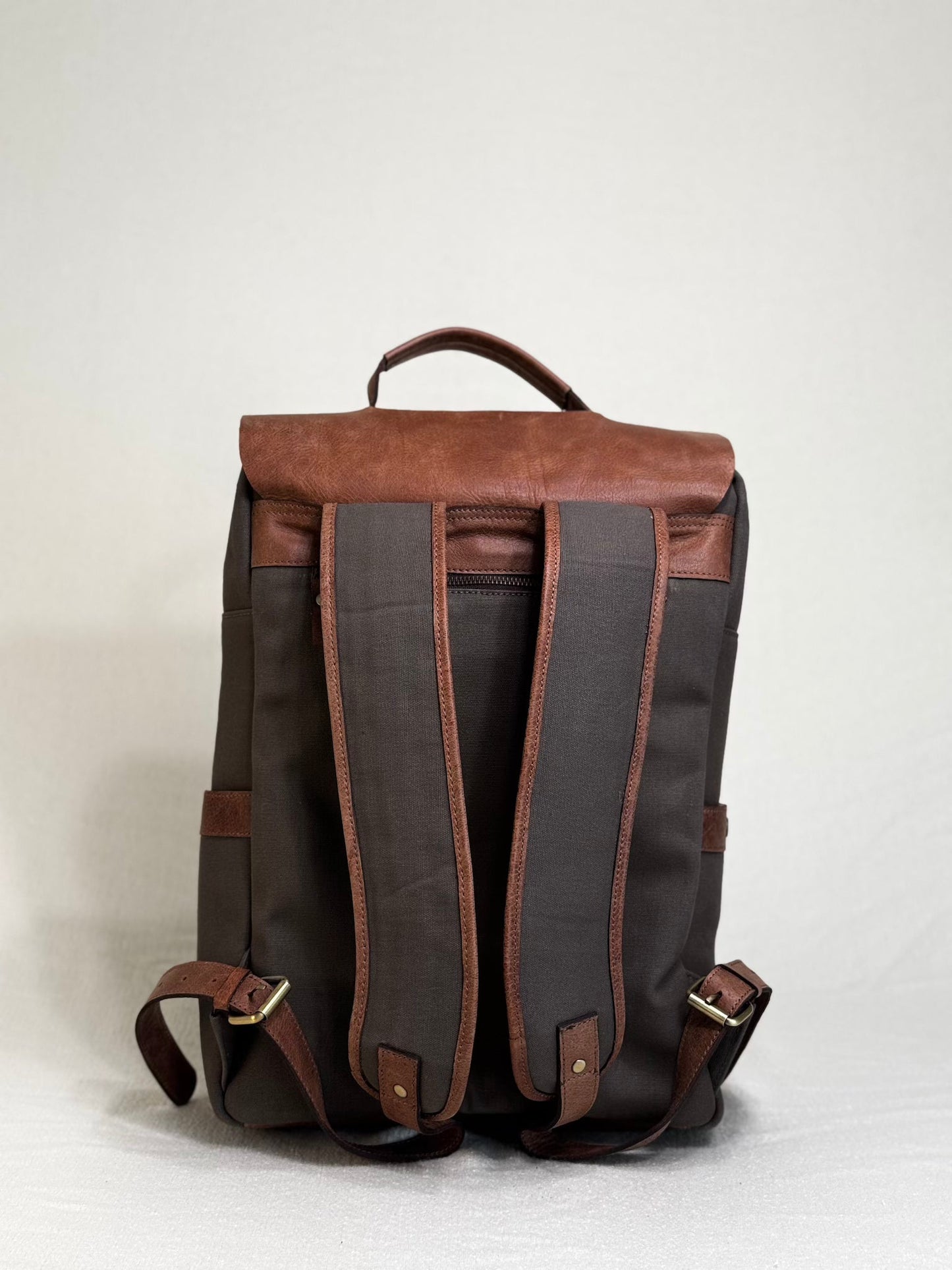 Oliva Modena Carrier